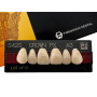 Зубы Crown PX, фронтальная группа, A3, S42S, верх, 6шт.