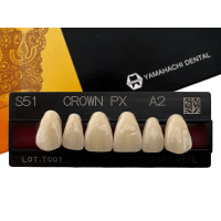 Зуби Crown PX, фронтальна група, A2, S51, верх, 6шт.
