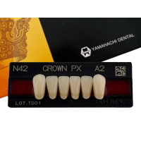 Зубы Crown PX, фронт.группа, A2, N42, низ, 6шт.