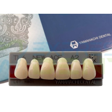Зуби Yamahachi, фронтальна група, A2, TL6 верх, 6шт.