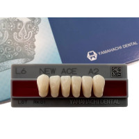 Зуби Yamahachi, фронтальна група, A2, L6 низ, 6шт.