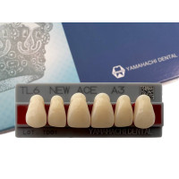 Зубья Yamahachi, передняя группа, A3, TL6 top, 6шт.