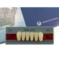 Зуби Yamahachi, фронтальна група, A3, L5 низ, 6шт.