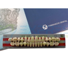 Зуби Yamahachi повний гарнітур C4 T2