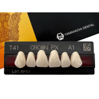 Зуби Crown PX, фронтальна група, A1, T41, верх, 6шт.
