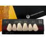 Зуби Crown PX, фронтальна група, A1, T41, верх, 6шт.