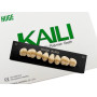 Зубы KAILI жевательные D3 34 верх