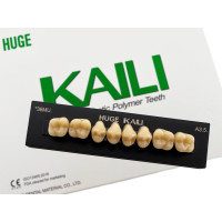 Зубы KAILI жевательные A3,5 36 верх
