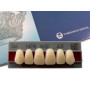 Зуби Yamahachi, фронтальна група, A3, S6 верх, 6шт.