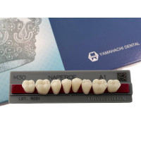 Зубы Yamahachi, жевательная группа, А1 М30, дно, 8шт.