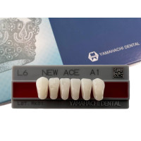 Зубья Yamahachi, передняя группа, A1, L6 дно, 6шт.