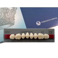 Зубы Yamahachi, жевательная группа, A1 M30, верх, 8шт.