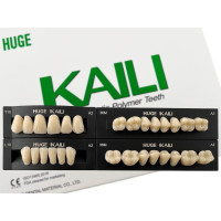 Зубы KAILI полный гарнитур A2 T10 L10 36