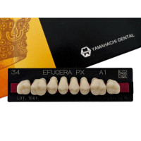 Зубы Efucera PX, жевательная группа, A1 M34, верх, 8шт.