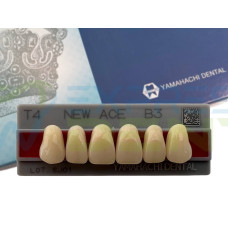Зуби Yamahachi, фронтальна група, B3, T4 верх, 6шт.