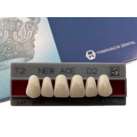 Зубья Yamahachi, передняя группа, D2, T2 верх, 6шт.