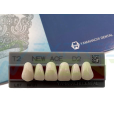 Зуби Yamahachi, фронтальна група, D2, T2 верх, 6шт.