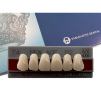 Зубья Yamahachi, передняя группа, D2, T4 верх, 6шт.