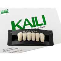 Зуби KAILI фронт низ A1 L10