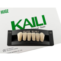 Зубы KAILI фронт низ A2 L10