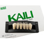 Зубы KAILI фронт низ A2 L10