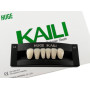 Зубы KAILI фронт низ A1 L4