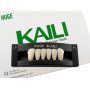 Зубы KAILI фронт низ A1 L6