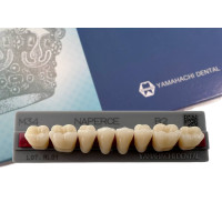 Зубы Yamahachi, жевательная группа, B2 M34, дно, 8шт.