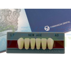 Зуби Yamahachi, фронтальна група, A3, L7 низ, 6шт.