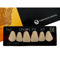 Зуби Crown PX, фронтальна група, A3, T61, верх, 6шт.