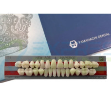 Зуби Yamahachi повний гарнітур C1 Т1