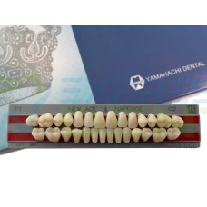 Зуби Yamahachi повний гарнітур C2 T1