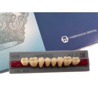 Зуби Yamahachi, жувальна група, A3,5 28, низ, 8шт.