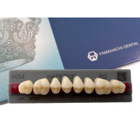 Зубы Yamahachi, жевательная группа, B2 M34, верх, 8шт.