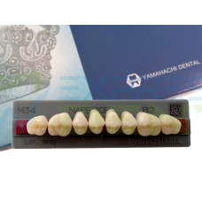 Зуби Yamahachi, жувальна група, B2 M34, верх, 8шт.