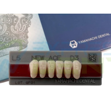 Зуби Yamahachi, фронтальна група, D3 L5 низ, 6шт.