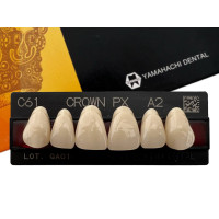 Зубы Crown PX, фронтальная группа, A2, C61, верх, 6шт.