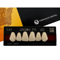 Зуби Crown PX, фронтальна група, A2, T41, верх, 6шт.
