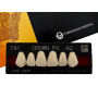 Зуби Crown PX, фронтальна група, A2, T41, верх, 6шт.