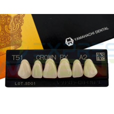 Зуби Crown PX, фронтальна група, A2, T51, верх, 6шт.