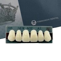 Зуби Yamahachi, фронтальна група, A1, S8 верх, 6шт.
