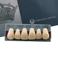 Зубы Yamahachi, фронтальная группа, A3,5, TL7 верх, 6шт.